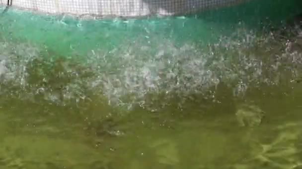 Close up van de fontein werken in stadspark. Waterdruppels spatten op het wateroppervlak in slow motion — Stockvideo
