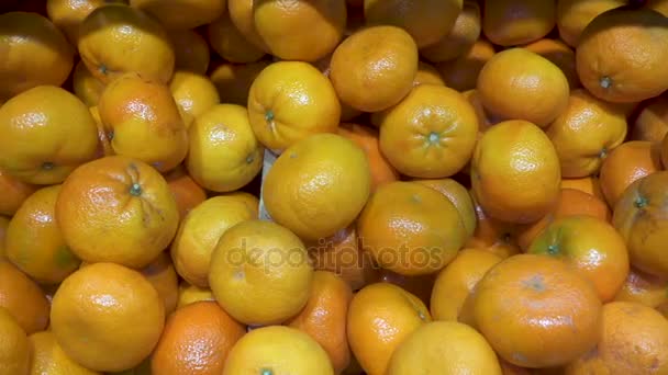 Fruit mandarine vue panoramique — Video