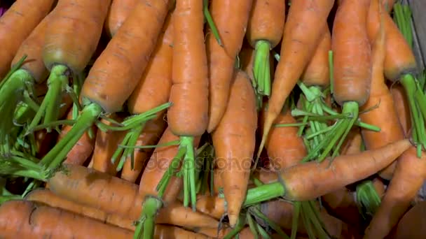 Beaucoup de carottes fraîches vue panoramique — Video