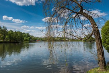 Güzel gölet Park. Sredniy Tsaritsynskiy prud. Tsaritsyno Park.