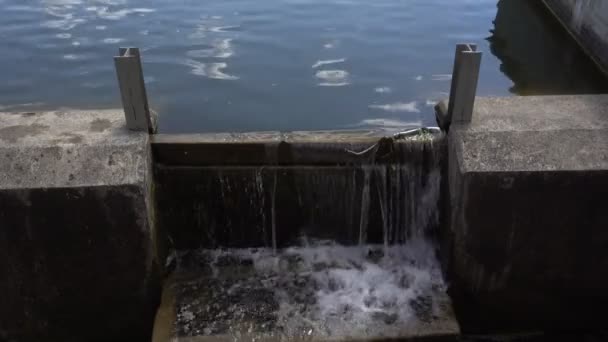 El agua del estanque fluye a través del desagüe — Vídeo de stock