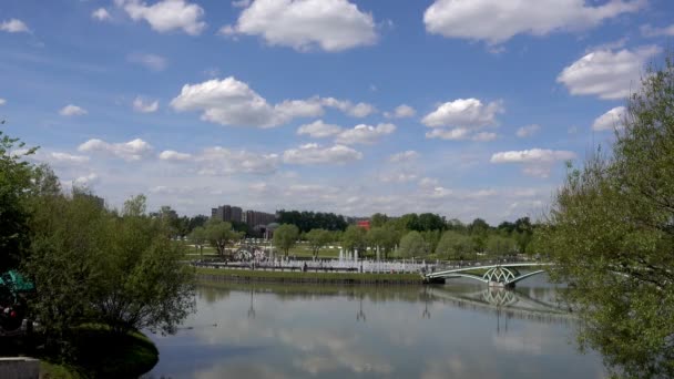 Vijver in het park. Weergave van de brug. Sredniy Tsaritsynskiy prud. — Stockvideo