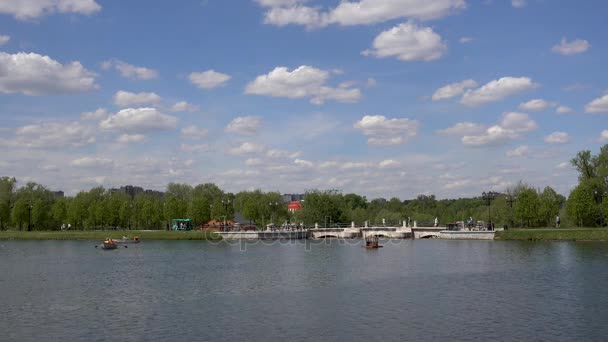 Estanque en el parque. Vista del puente. Sredniy Tsaritsynskiy prud . — Vídeos de Stock