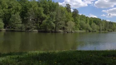 Güzel gölet Park. Sredniy Tsaritsynskiy prud. Tsaritsyno Park.