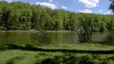 Güzel gölet Park. Sredniy Tsaritsynskiy prud. Tsaritsyno Park.
