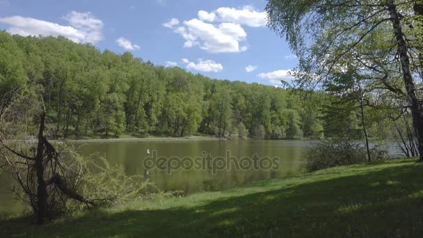 Krásný rybník v parku. Sredniy Tsaritsynskiy prudu. Tsaritsyno Park. — Stock video