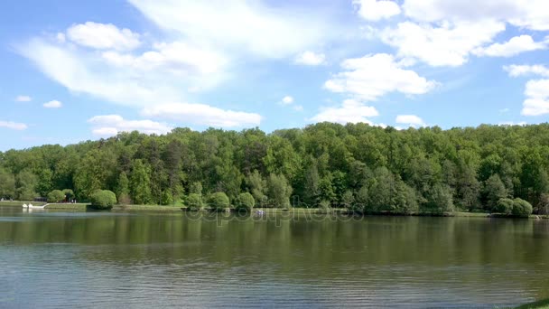 Vackra dammen i parken. Sredniy Tsaritsynskiy prud. Tsaritsyno Park. — Stockvideo