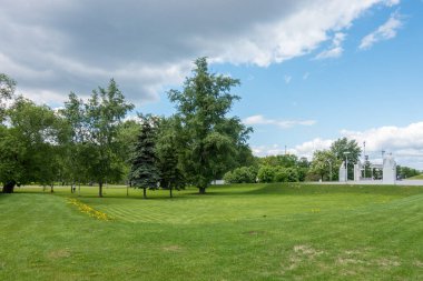 Parkta ağaçlar olan yeşil çimenler