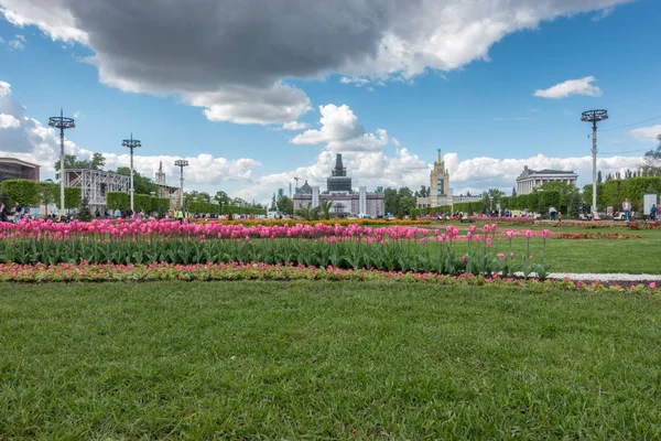 Moskva, Rusko - 27. května 2017: Tulipány na Vdnkh — Stock fotografie