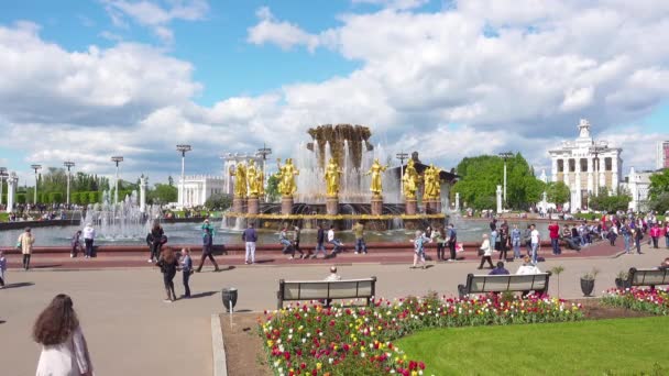Moscow, Oroszország - 2017. május 27.: az emberek a Vdnkh park séta. — Stock videók
