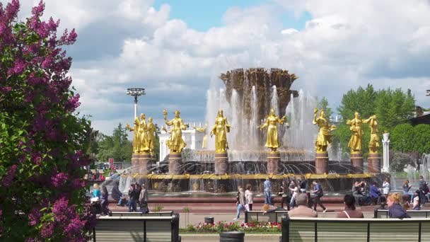 Mosca, Russia - 27 maggio 2017: persone che camminano nel parco del VDNKh . — Video Stock