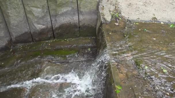 Agua corriente en cámara lenta en el parque — Vídeo de stock