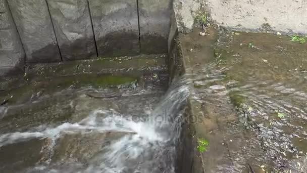Zoom w strumień wody w parku — Wideo stockowe