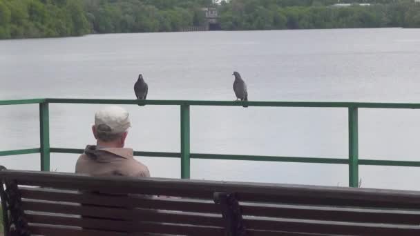 Persona indefinida se sienta en un banco cerca del río Moscú en Kolomenskoye Park — Vídeo de stock