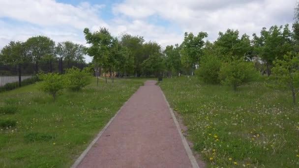 Een pad in het park Kolomenskoye, Rusland, Moskou. — Stockvideo