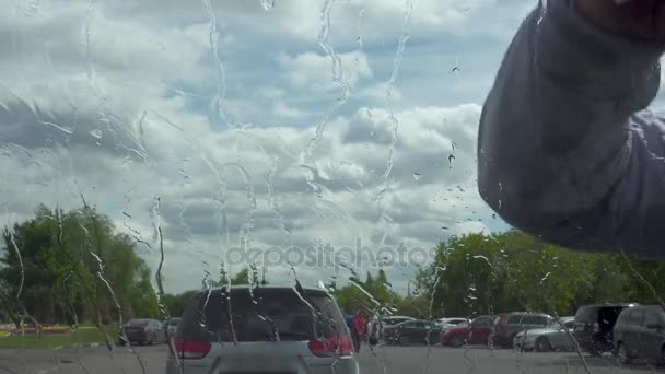 Essuie à la main le pare-brise de voiture — Video