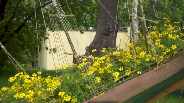 Όμορφα κίτρινα λουλούδια που λικνίζονται στον άνεμο — Αρχείο Βίντεο