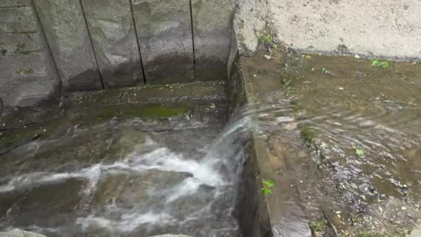 Zoom en el agua del arroyo en el parque — Vídeo de stock