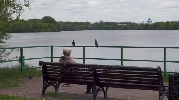 Неизвестный сидит на скамейке возле Москвы-реки в Коломенском парке — стоковое видео