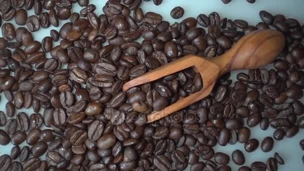 Granos de café y cuchara de madera de olivo sobre fondo blanco — Vídeo de stock