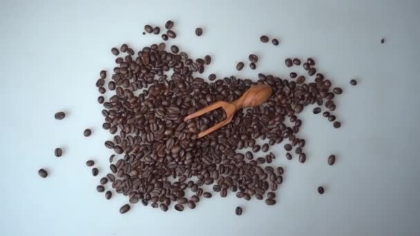 Granos de café y cuchara de madera de olivo sobre fondo blanco — Vídeo de stock