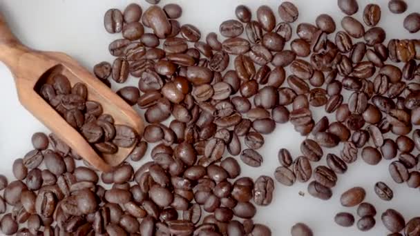 Granos de café y cuchara de madera de olivo sobre fondo blanco — Vídeo de stock