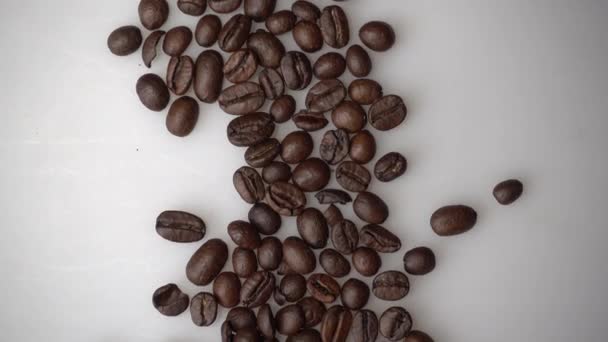 Granos de café sobre fondo blanco — Vídeo de stock