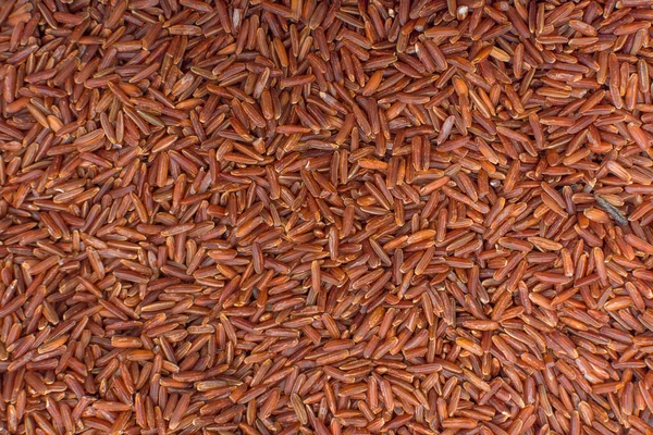 Fondo rojo de arroz salvaje — Foto de Stock