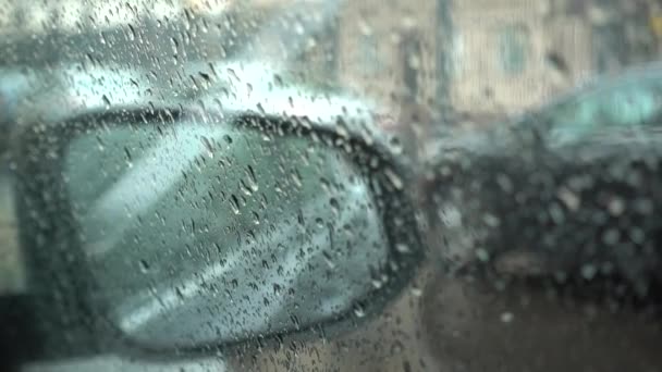 De daling van de regen op de voorruit op de dag van de regen — Stockvideo
