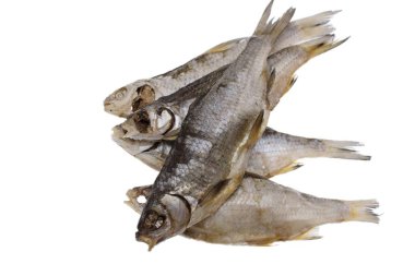 Tuzlu roach balık izole beyaz zemin üzerine kurutulmuş