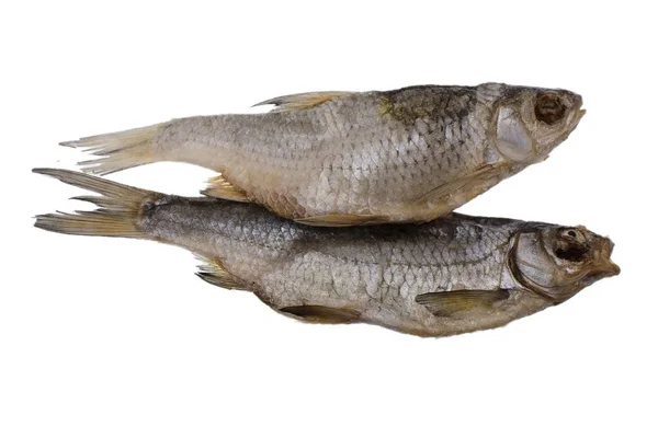 Две соленые тараканьи рыбы на изолированном белом фоне — стоковое фото