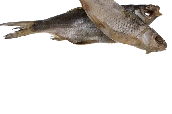 孤立的白色背景上的盐渍的罗奇鱼干 — 图库照片