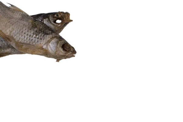 Сушеная соленая тараканья рыба на изолированном белом фоне — стоковое фото