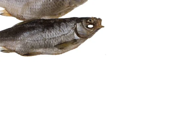 Αποξηραμένα ψάρια παστά roach σε απομονωμένες λευκό φόντο — Φωτογραφία Αρχείου