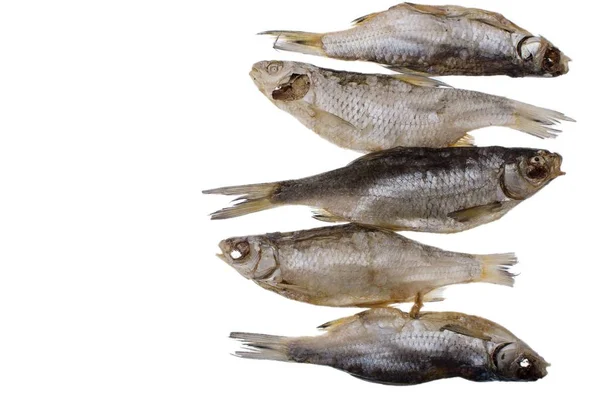 Πέντε Αποξηραμένα ψάρια παστά roach σε απομονωμένες λευκό φόντο — Φωτογραφία Αρχείου