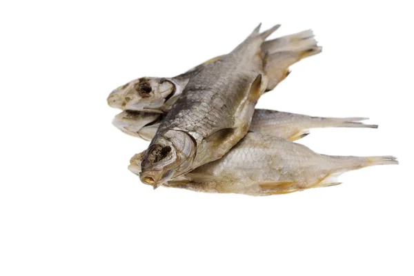 Сушеная соленая тараканья рыба на изолированном белом фоне — стоковое фото