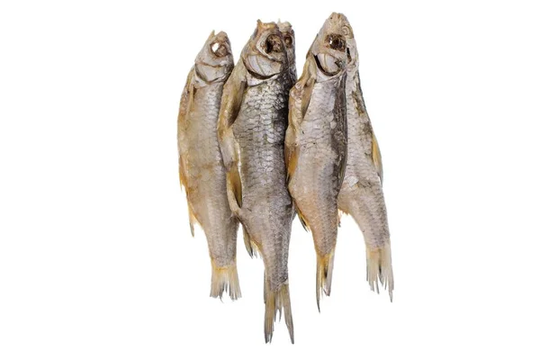 Сушена солона тарганова риба на ізольованому білому тлі — стокове фото