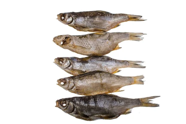 Cinco peixes de barata salgados secos em um fundo branco isolado — Fotografia de Stock