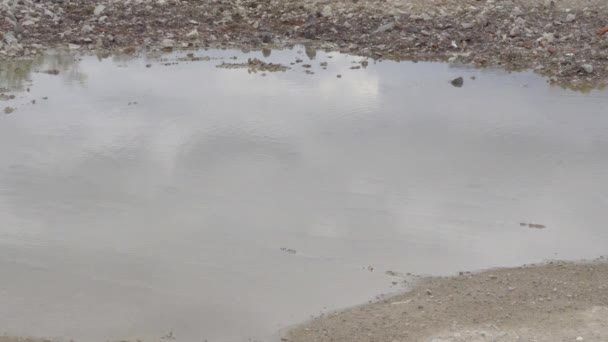 웅덩이와 반사 더러운 지상도로 — 비디오