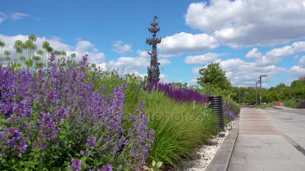Piękny krajobraz z pomnik Pomnik Piotra Wielkiego w tle — Wideo stockowe