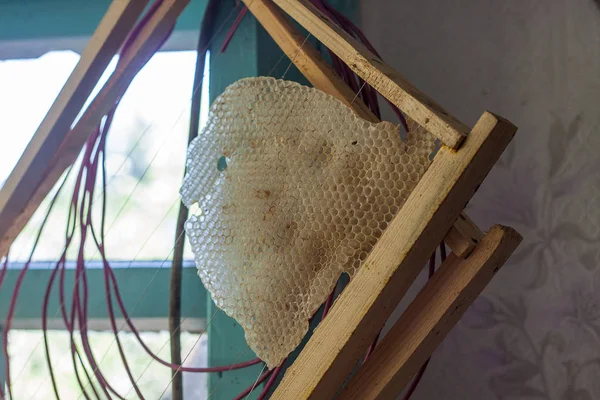 Marco de abeja con una parte de panales de cera — Foto de Stock