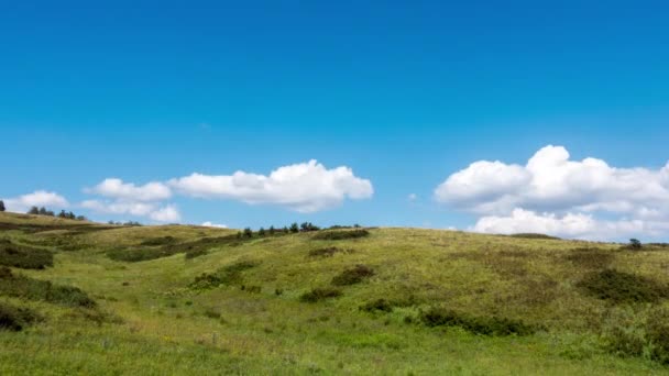 4k Timelapse colina amarillo-verde y cielo con nubes. Hierbas silvestres . — Vídeo de stock