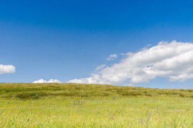 Sarı-yeşil tepe ve gökyüzü bulutlu. Yabani otlar.