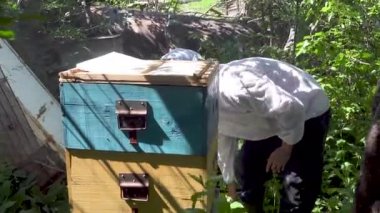 Arı kovanı, arıcı eser