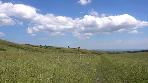 Colina amarillo-verde y cielo con nubes. Hierbas silvestres . — Vídeos de Stock