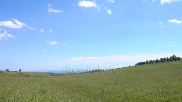 Gul-grön hill och himlen med moln. Vilda gräs. — Stockvideo
