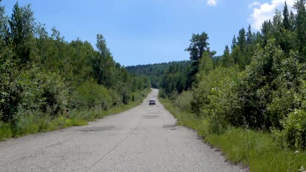 Машина едет по горной дороге. Вдоль дороги зеленый лес — стоковое видео