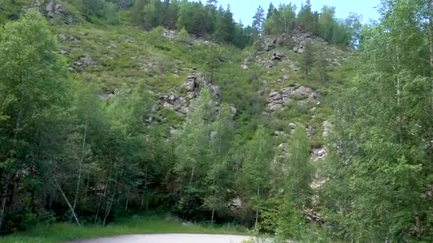 Panoramiczny widok na góry i las — Wideo stockowe