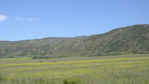 Gebirge in Ostkasachstan — Stockvideo