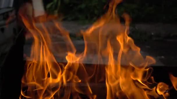 Fuoco ardente, calore, luce, campeggio. Bruciatura del legno in serata — Video Stock